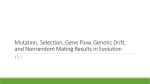 Mutation, Selection, Gene Flow, Genetic Drift, and Nonrandom