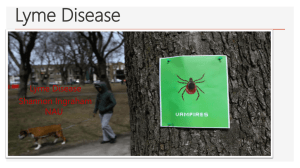 Lyme Disease - WordPress.com