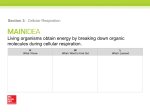 Living organisms obtain energy by breaking down organic