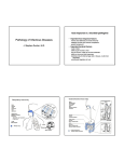 Pathology of Infectious Diseases