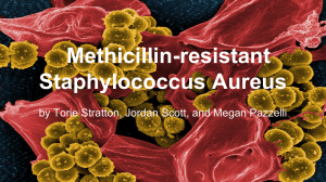 Methicillin-resistant Staphylococcus Aureus