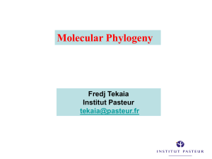 Molecular Phylogeny