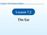 7.2 The Ear