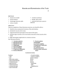 Kinesiology_Lab_files/Lab 3. Muscles and Biomechanics of the