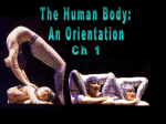 001_human_body-intro