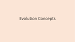 Evolution Concepts