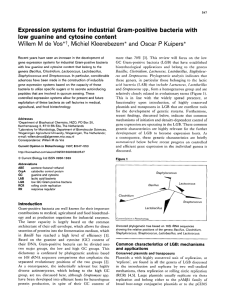 Expression systems for industrial Gram