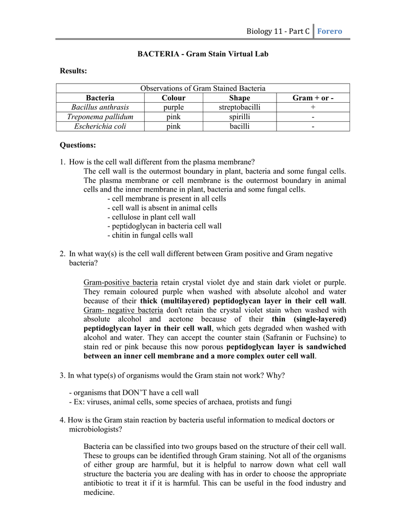 gram stain lab answers formal report example chemistry