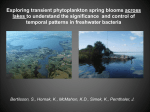 Exploring transient phytoplankton spring blooms across lakes to