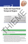 Scalp and Superficial Temporal Region