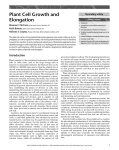 Plant Cell Growth and Elongation