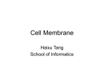 Cell Membrane - Indiana University School of Informatics