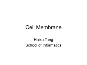 Cell Membrane - Indiana University School of Informatics