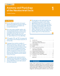 Anatomy and Physiology of the Nasolacrimal Ducts