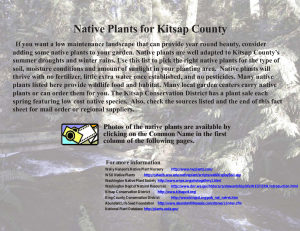 Native Plants - Kitsap County
