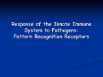 Response of the Innate Immune System to Pathogens