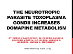 The Neurotropic Parasite Toxoplasma Gondii Increases Domapine