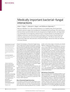 Medically important bacterial–fungal interactions