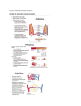 Physio Lecture 18 Vessels and Flow Dynamics