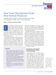 How some mycoplasmas evade host immune responses. Microbe 2