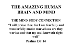 THE AMAZING HUMAN MIND