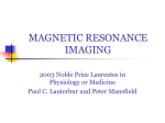 magnetic resonance imaging - Scientific Research Computing