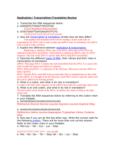 Replication/ Transcription/Translation Review