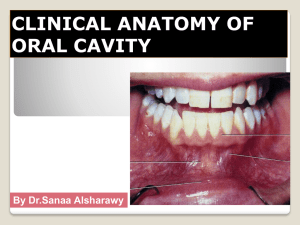 Clinical Anatomy of ORAL CAVITY-2016