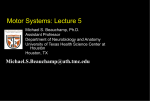 Motor Systems: Lecture 5