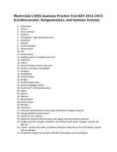 Mnstrviola`s SSSS Anatomy Practice Test KEY 2014-2015