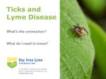 What is a Tick? - Bay Area Lyme Foundation