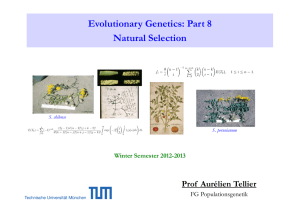 Evolutionary Genetics: Part 8 Natural Selection