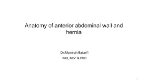 Anatomy of anterior abdominal wall and hernia