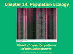 Chapter 11. Diversification of the Eukaryotes: Animals