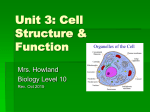 BIOLOGY Unit 3_Cell Structure and Function_CLASS NOTES