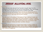 indian alluvial soil - British Council Schools Online