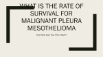 What Is The Rate Of Survival For Malignant Pleura Mesothelioma