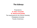The kidneys - Philadelphia University Jordan