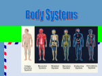 Body Systems 1