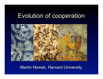 Evolution of cooperation