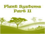 Plant Systems