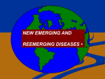 New Emerging Infectious Diseases