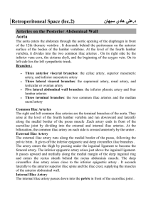 Retroperitoneal Space (lec.2) ھ دي ن .د