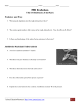 The Evolutionary Arms Race worksheet
