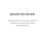Review of the EOC