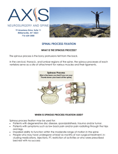 spinal process fixation - AXIS Neurosurgery and Spine