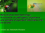 Medical Arachnoenthomology. Phylum Arthropoda. Class Crustacea