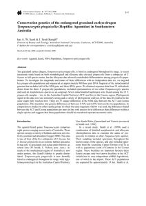 Conservation genetics of the endangered grassland earless dragon