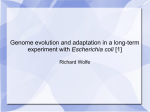 E. coli Genome Evolution and Adaptation