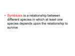 Species Relationship notes